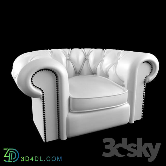 Arm chair - leather chair