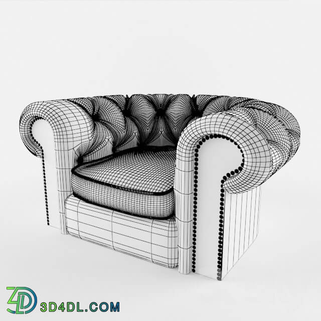 Arm chair - leather chair