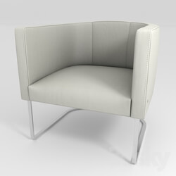 Arm chair - DS-207 chair from De Sede 