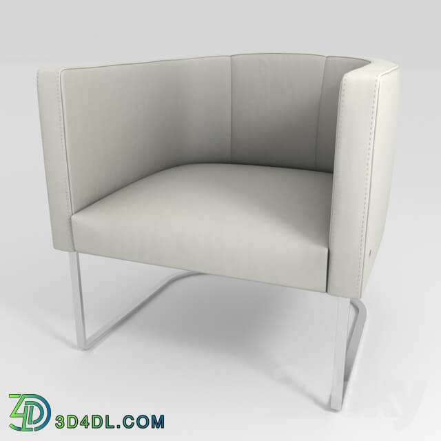 Arm chair - DS-207 chair from De Sede