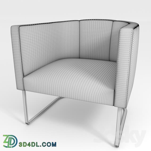 Arm chair - DS-207 chair from De Sede