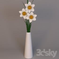Plant - Daffodils in a vase 