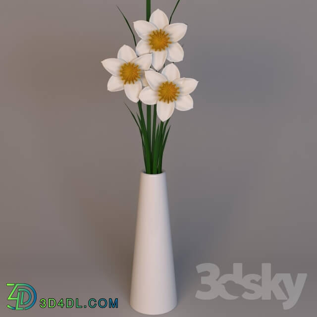 Plant - Daffodils in a vase