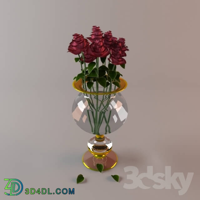 Plant - Vase with roses