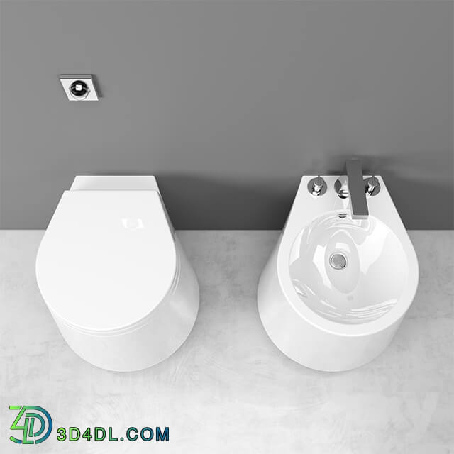 Toilet and Bidet - Toilet _amp_ Bidet