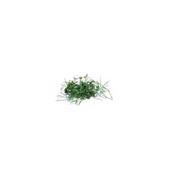 ArchModels Vol126 (001) simple grass small v1 