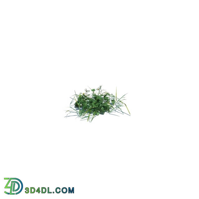 ArchModels Vol126 (001) simple grass small v1