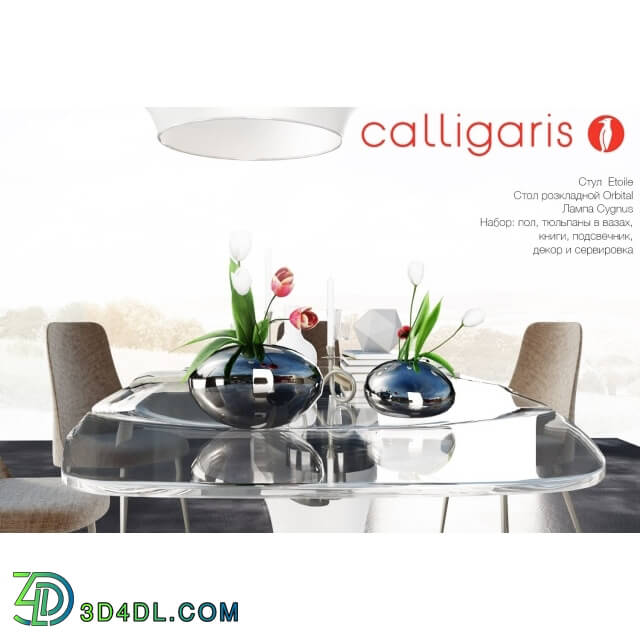 Table _ Chair - Calligaris
