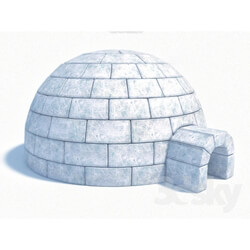 Building - Igloo 