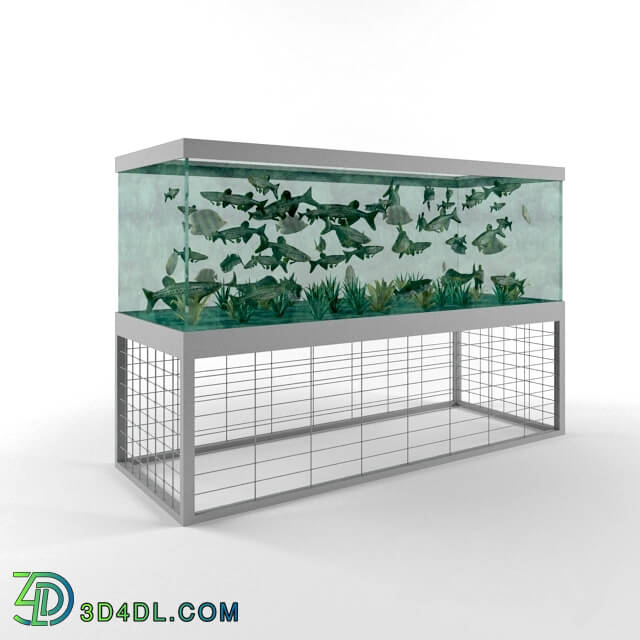 Other decorative objects - Aquarium