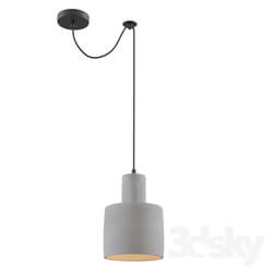 Ceiling light - Pendant lamp Broni T439-PL-01-GR 