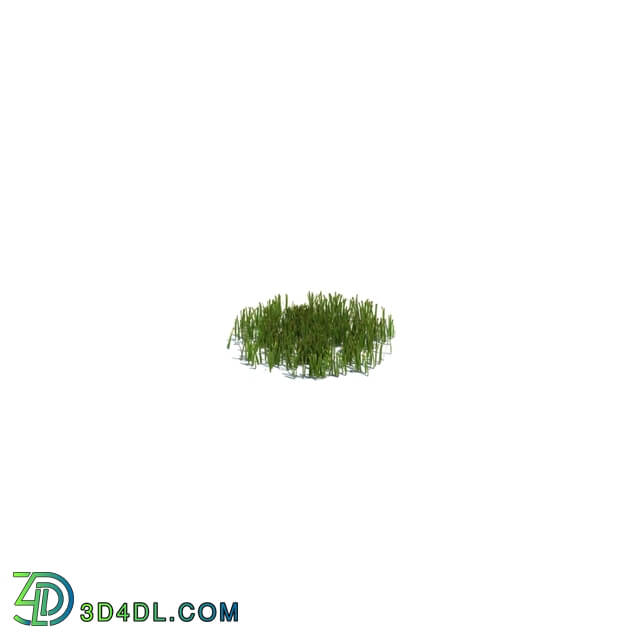 ArchModels Vol126 (010) simple grass small v1
