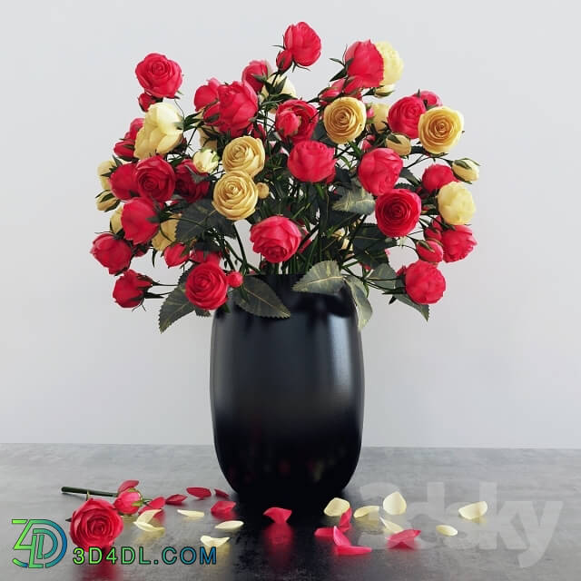 Plant - Roses bouquet 5