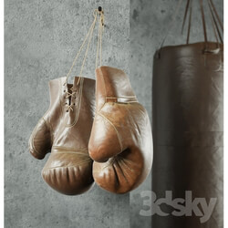 Sports - Champion _Boxing equipment_ 