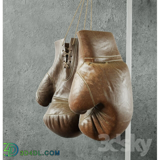 Sports - Champion _Boxing equipment_