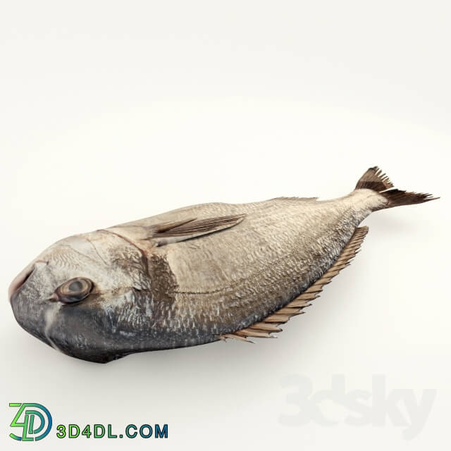 Food and drinks - Raw Sea Bream Fish