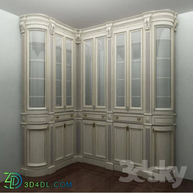 Wardrobe _ Display cabinets - Library