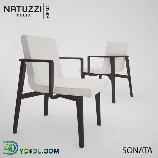 Table _ Chair - Natuzzi Sonata and B_B ITALIA oska table