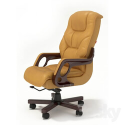Office furniture - Chair Aristocrat _Aristocrat_ head 