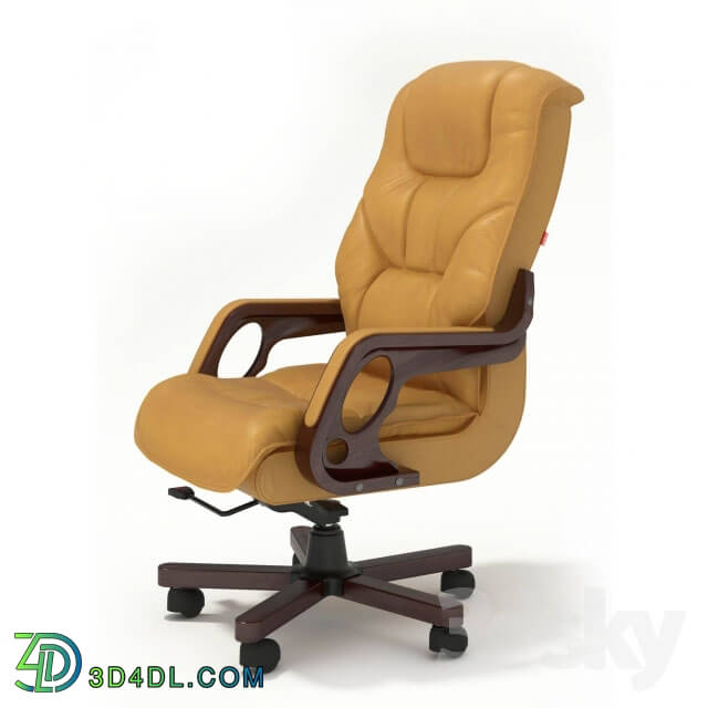 Office furniture - Chair Aristocrat _Aristocrat_ head