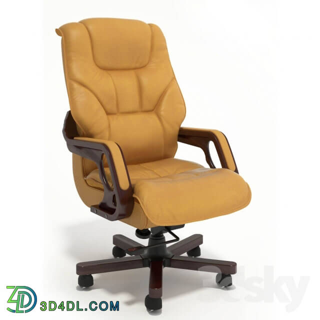 Office furniture - Chair Aristocrat _Aristocrat_ head