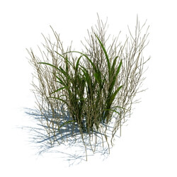 ArchModels Vol124 (068) simple grass v2 