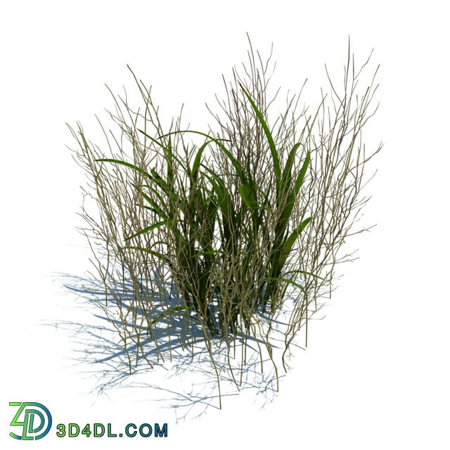 ArchModels Vol124 (068) simple grass v2