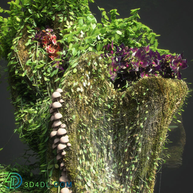 Plant - Dwarf Florarium
