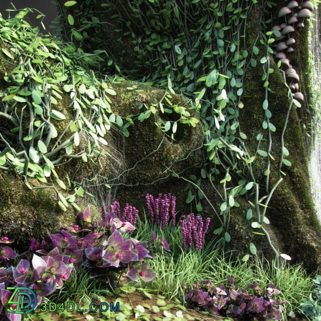 Plant - Dwarf Florarium
