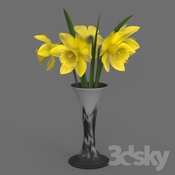 Bouquet - Vase and Daffodils 
