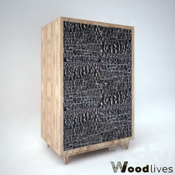 Wardrobe _ Display cabinets - Wardrobe Woodlives 