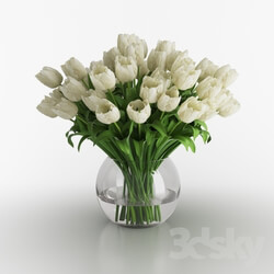 Plant - White tulips in a vase 