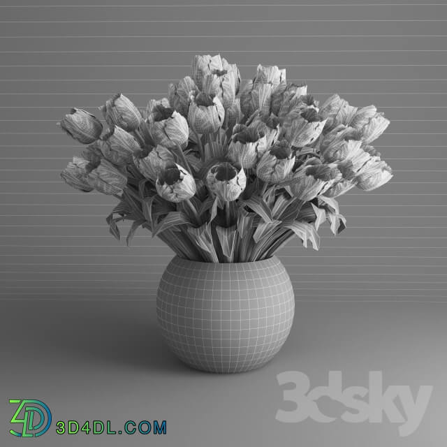 Plant - White tulips in a vase