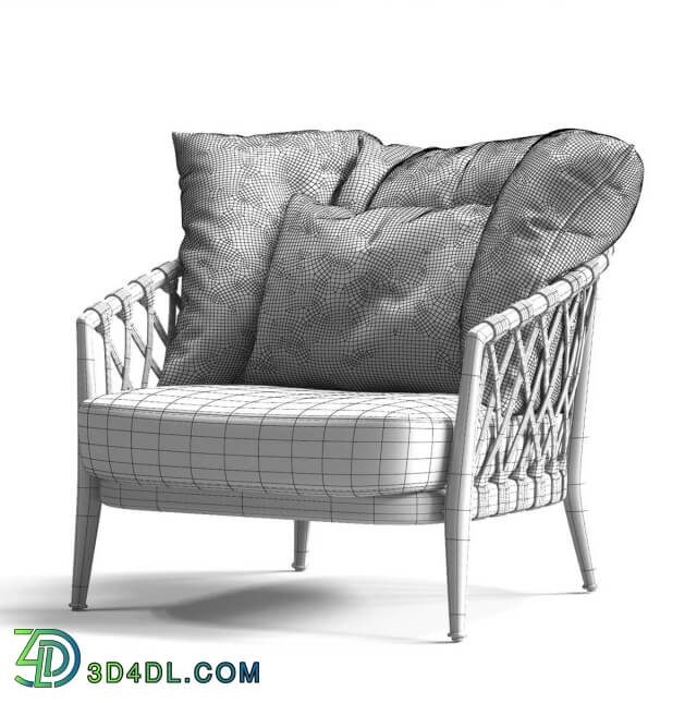 Arm chair - B_B Italia ERICA Armchair