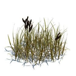 ArchModels Vol124 (069) simple grass v3 