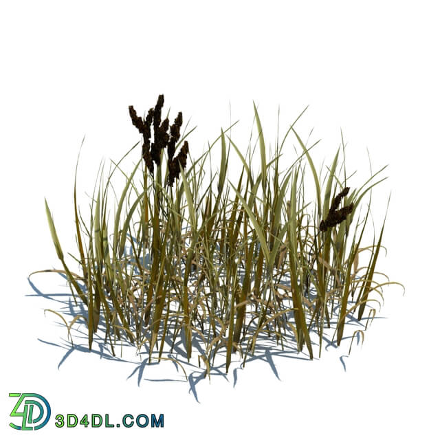 ArchModels Vol124 (069) simple grass v3