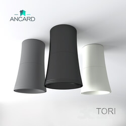 Spot light - Lamp of the TORI series of invoices from Ancard 