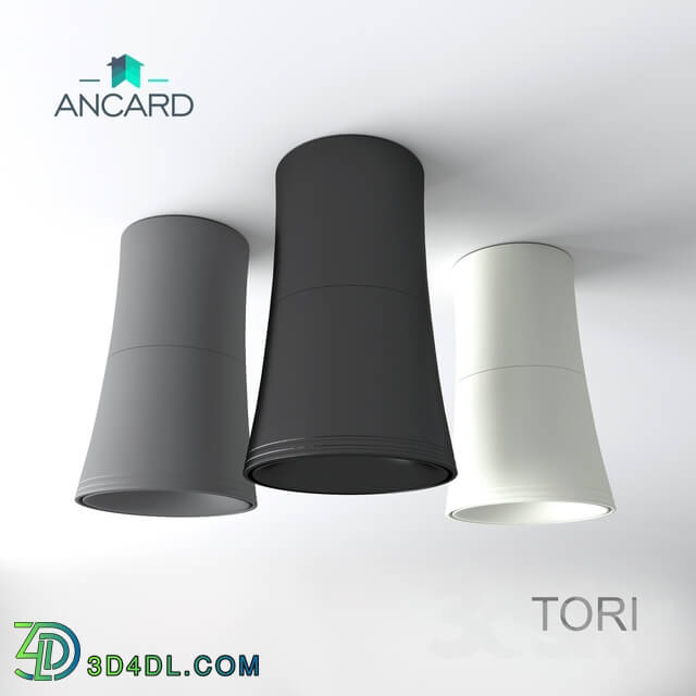 Spot light - Lamp of the TORI series of invoices from Ancard