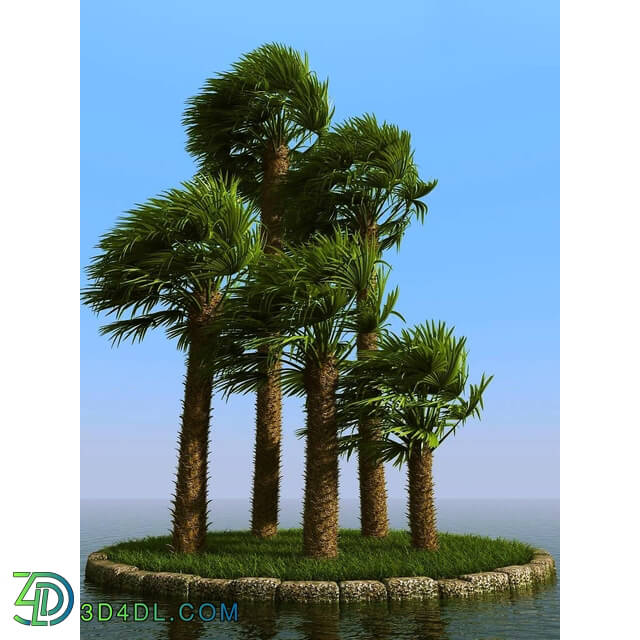 3dMentor HQPalms-03 (16) chamaerops palm wind