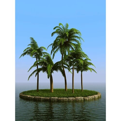3dMentor HQPalms-03 (17) coconut palm 