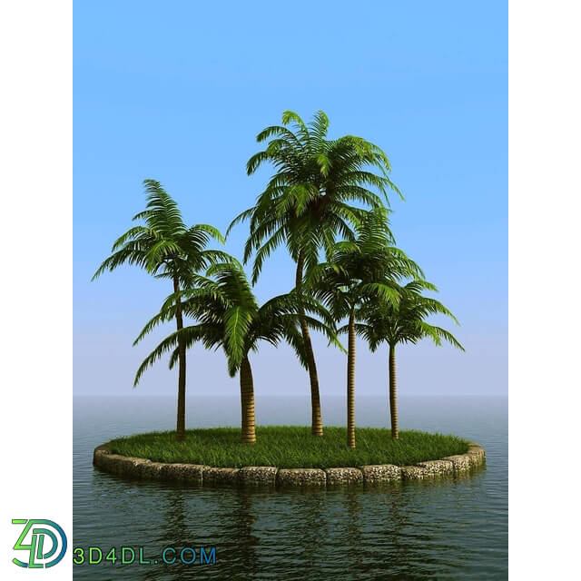 3dMentor HQPalms-03 (17) coconut palm