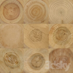 Wood - Log _slices_ 