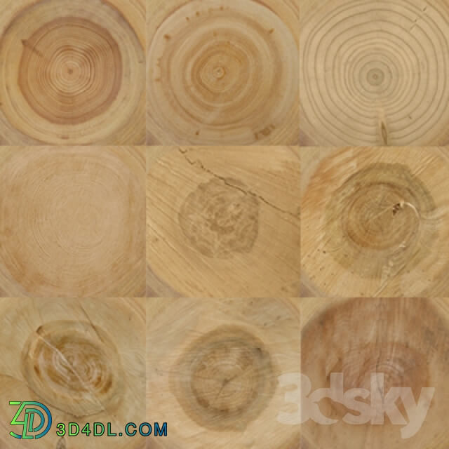 Wood - Log _slices_