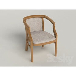 Chair - easy chair 