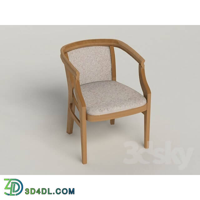Chair - easy chair