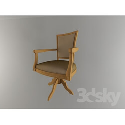 Arm chair - Armchair 