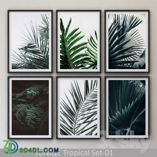 Frame - Tropical Set-01 Framed