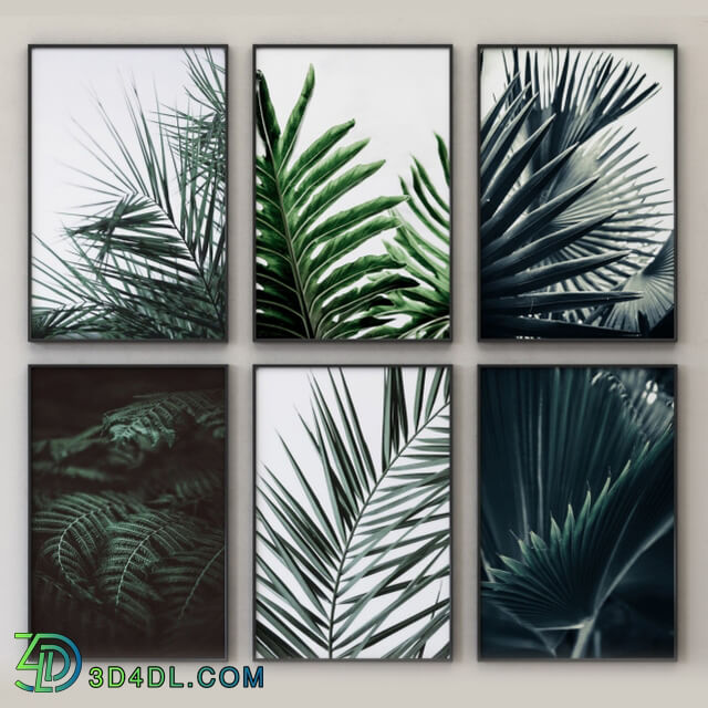 Frame - Tropical Set-01 Framed