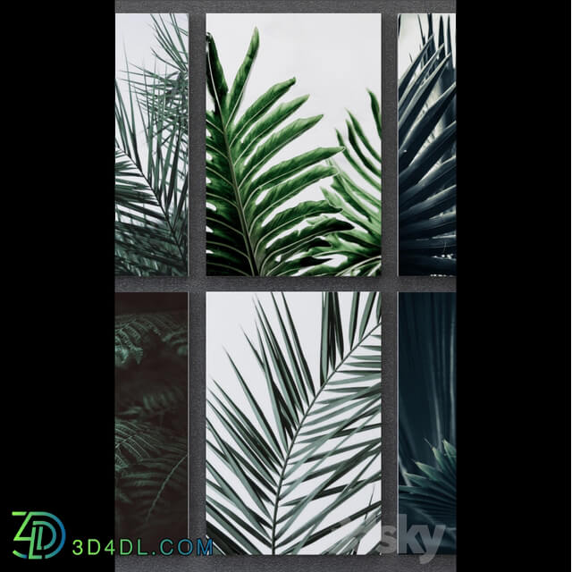 Frame - Tropical Set-01 Framed