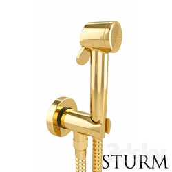Faucet - Hygienic shower STURM Traum_ color gold 